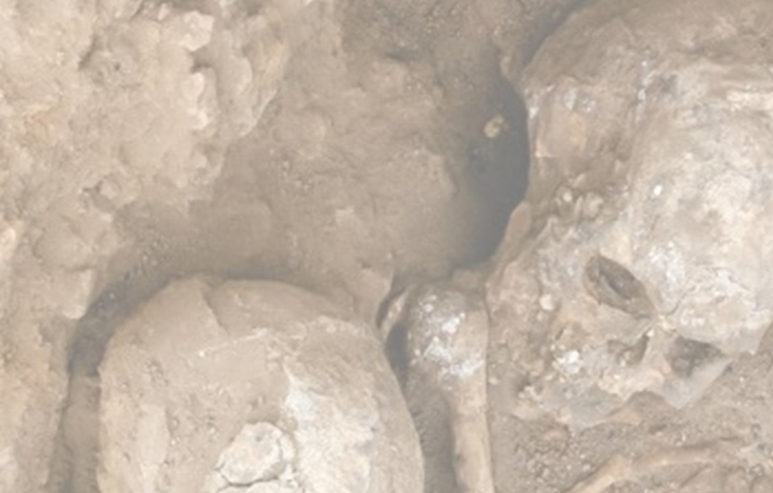 Osteobiografia mieszkańców neolitycznej osady w Çatalhöyük w Turcji - wykład 26.02.20