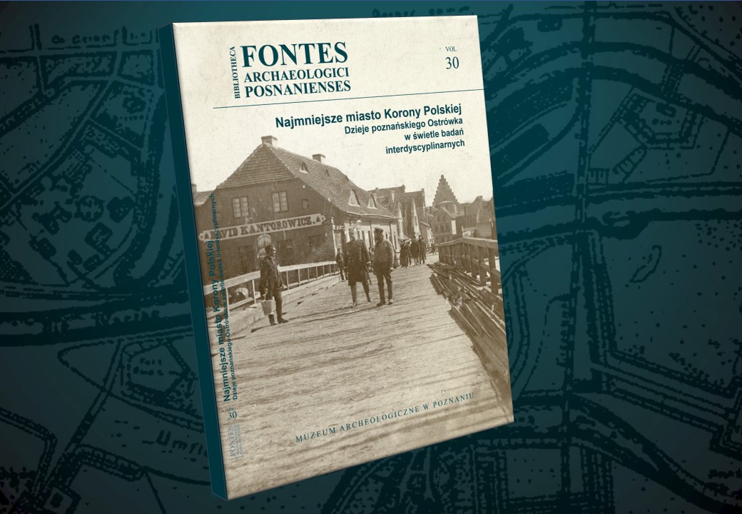 PDF - Najmniejsze miasto Korony Polskiej -Dzieje poznańskiego Ostrówka w świetle badań interdyscyplinarnych - BFAP 30