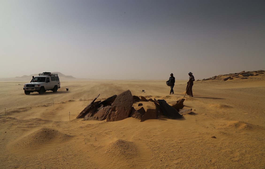 Zielona Sahara - wystawa czasowa (lipiec- listopad)