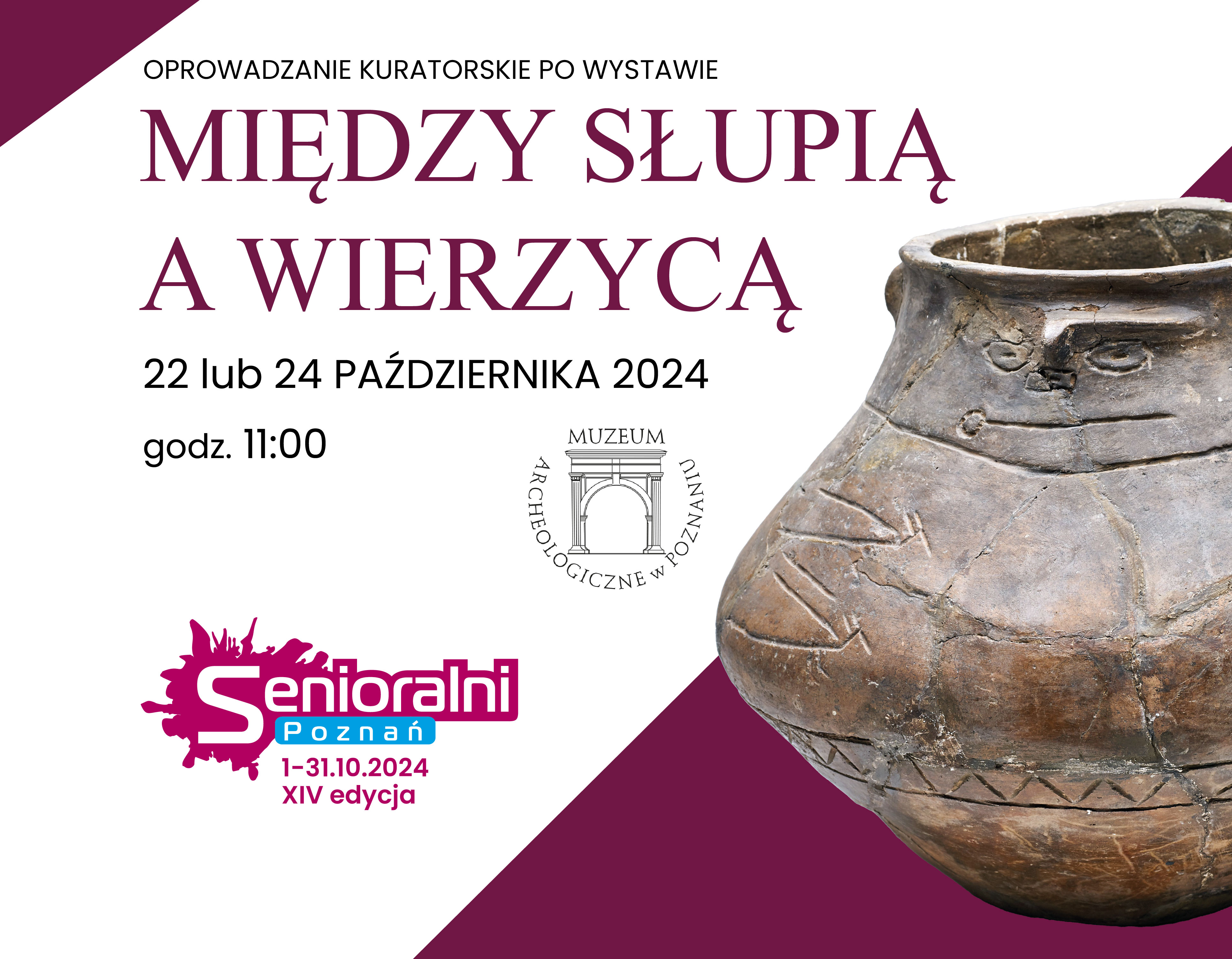 Oprowadzanie kuratorskie po wystawie ”Między Słupią a Wierzycą - cmentarzyska z wczesnej epoki żelaza w badaniach Muzeum Archeologicznego w Gdańsku”