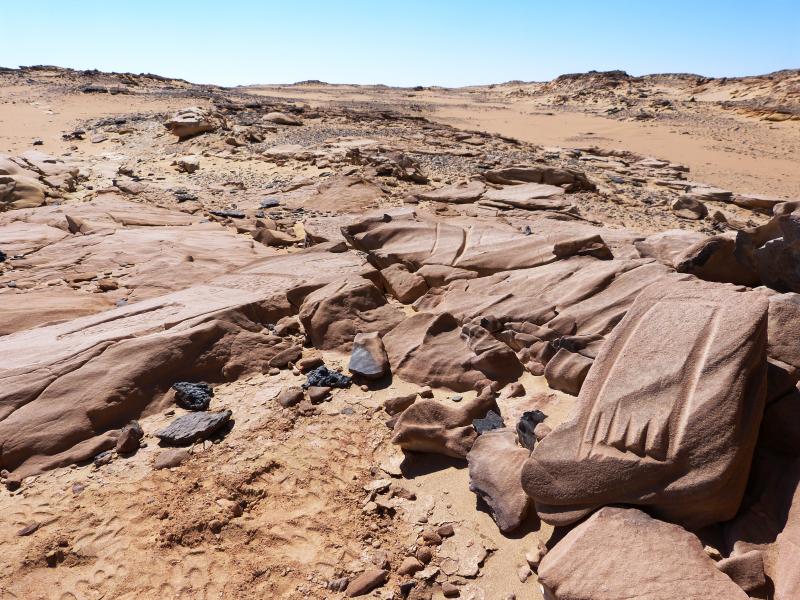 Skały w ruchu. Petroglify i ścieżki w sercu Pustyni Zachodniej-wystawa czasowa z cyklu Bliskie Spotkania z... (29.09-30.11.22)