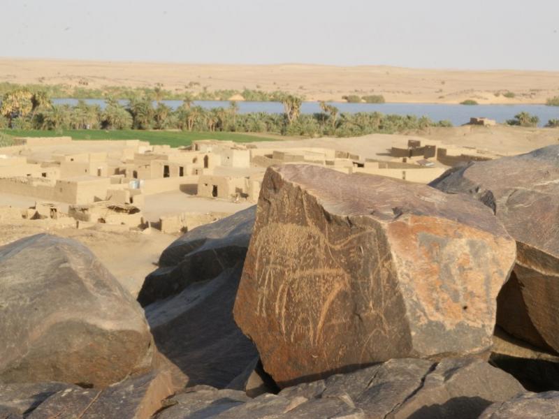 Rock Art of North Africa