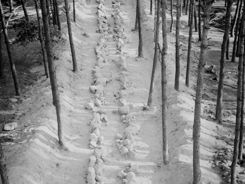 Monumental Stone Age tombs. Sarnowo and Wietrzychowice cultural parks 29.11.2022 - 19.02.2023