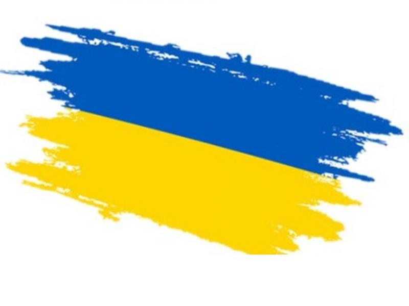 pomagam.pl/archeoaid - Pomoc dla Ukraińskich Archeologów z obrony terytorialnej