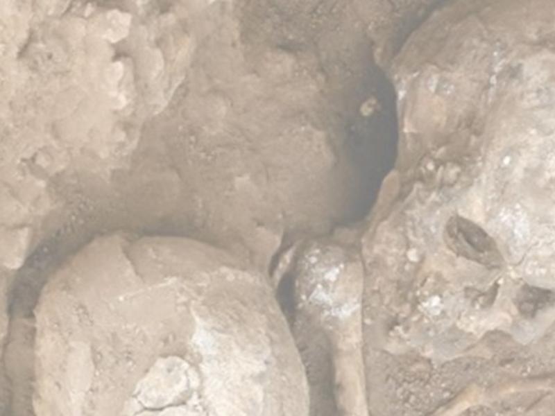 Osteobiografia mieszkańców neolitycznej osady w Çatalhöyük w Turcji - wykład 26.02.20