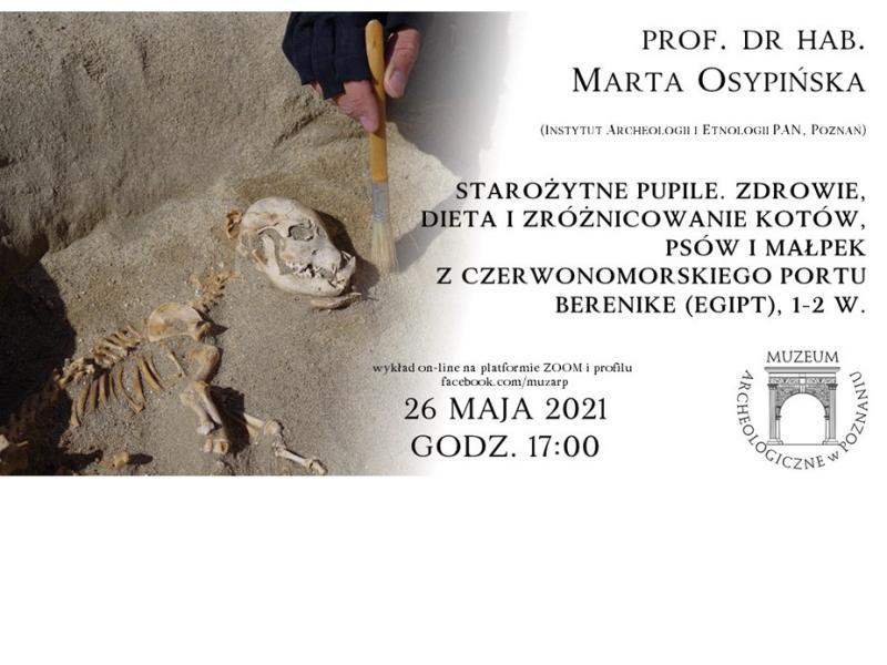 prof. dr hab. Marta Osypińska - Wykład on-line - 26 maja 2021 g.17.00 (ZOOM i FB)