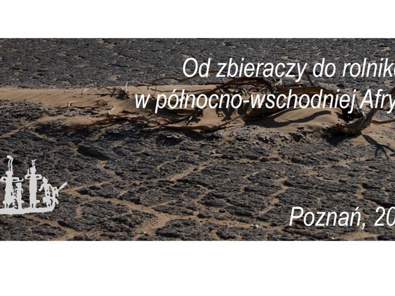 Międzynarodowa Komisja do spraw późnej prehistorii północno-wschodniej Afryki (LPNEA commission)