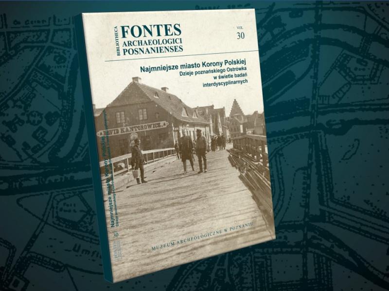 PDF - Najmniejsze miasto Korony Polskiej -Dzieje poznańskiego Ostrówka w świetle badań interdyscyplinarnych - BFAP 30