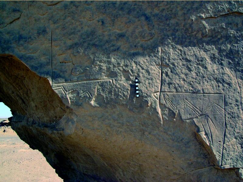 PETROGLIFY CENTRALNEJ PUSTYNI ZACHODNIEJ W EGIPCIE - dr P.Polkowski (MAP) -28.05.25