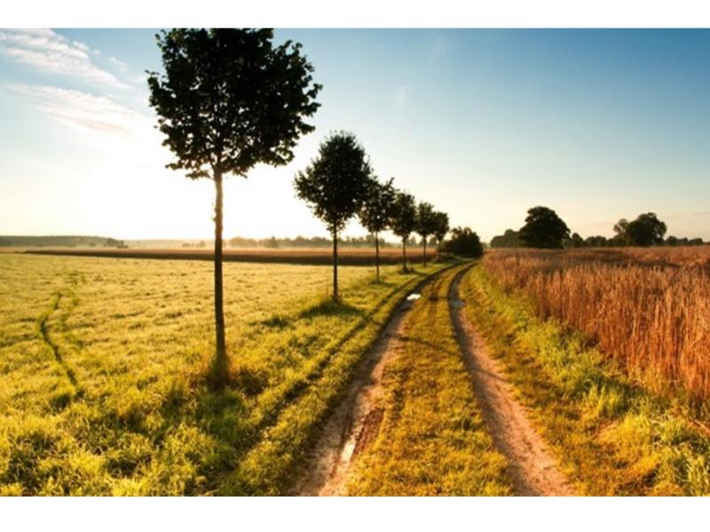 MOJA WIEŚ, MOJE DZIEDZICTWO