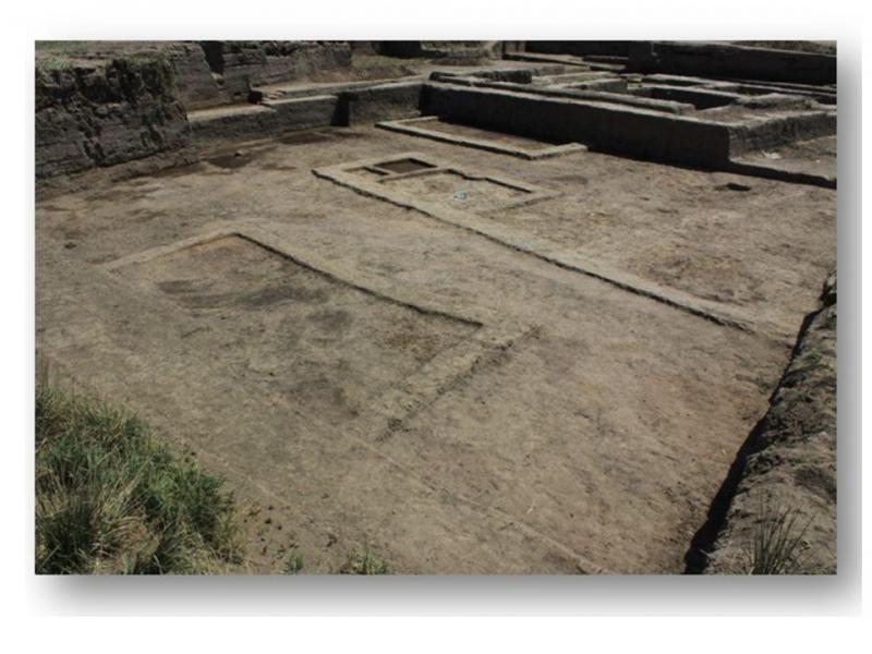 DELTA NILU JAKO CENTRUM WYMIANY KULTUROWEJ…