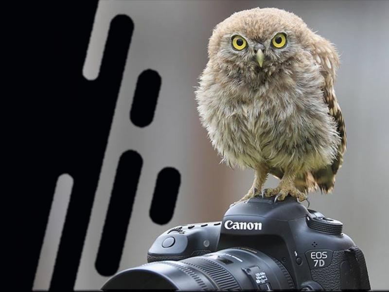 Festiwal ”Przyroda Warta Poznania” - 25.01 MAP