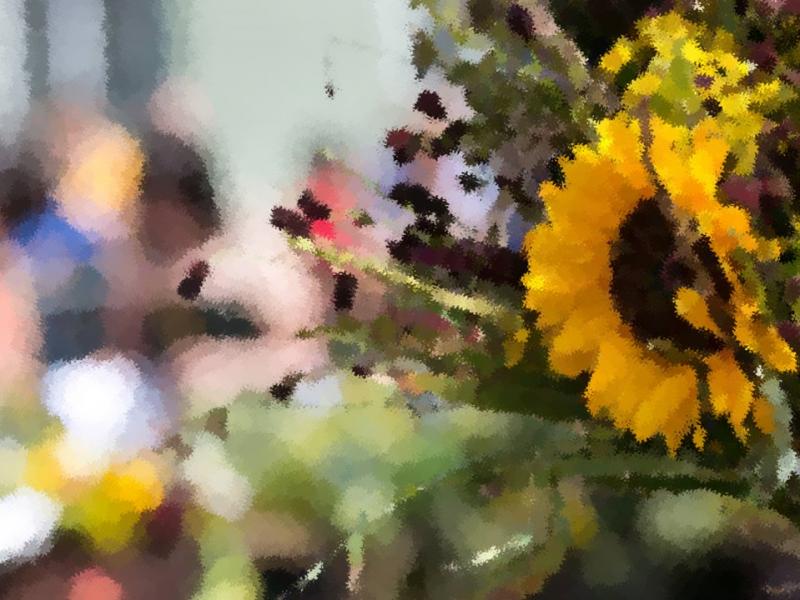 Majówka - godziny otwarcia Muzeum