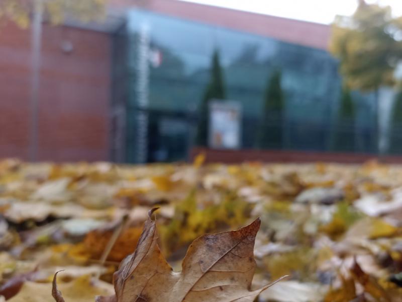 Remont rezerwatu 2-26.11.2023 - zmiany dla Zwiedzających