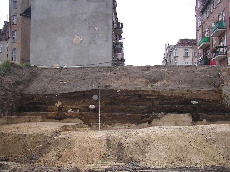 Najmniejsze miasto Korony Polskiej. Dzieje poznańskiego Ostrówka w świetle badań interdyscyplinarnych - projekt dofinansowany przez MKiDN