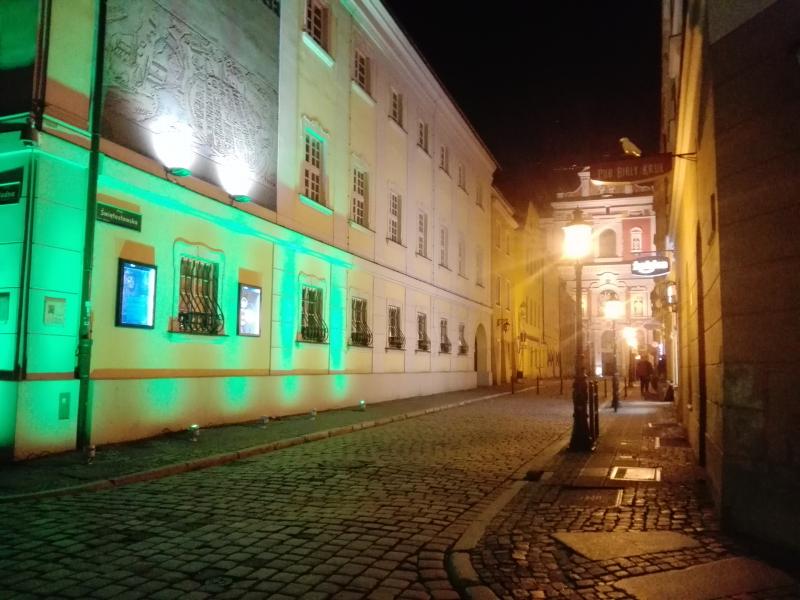 17 marca 2020 budynek Pałacu Górków zzieleniał!